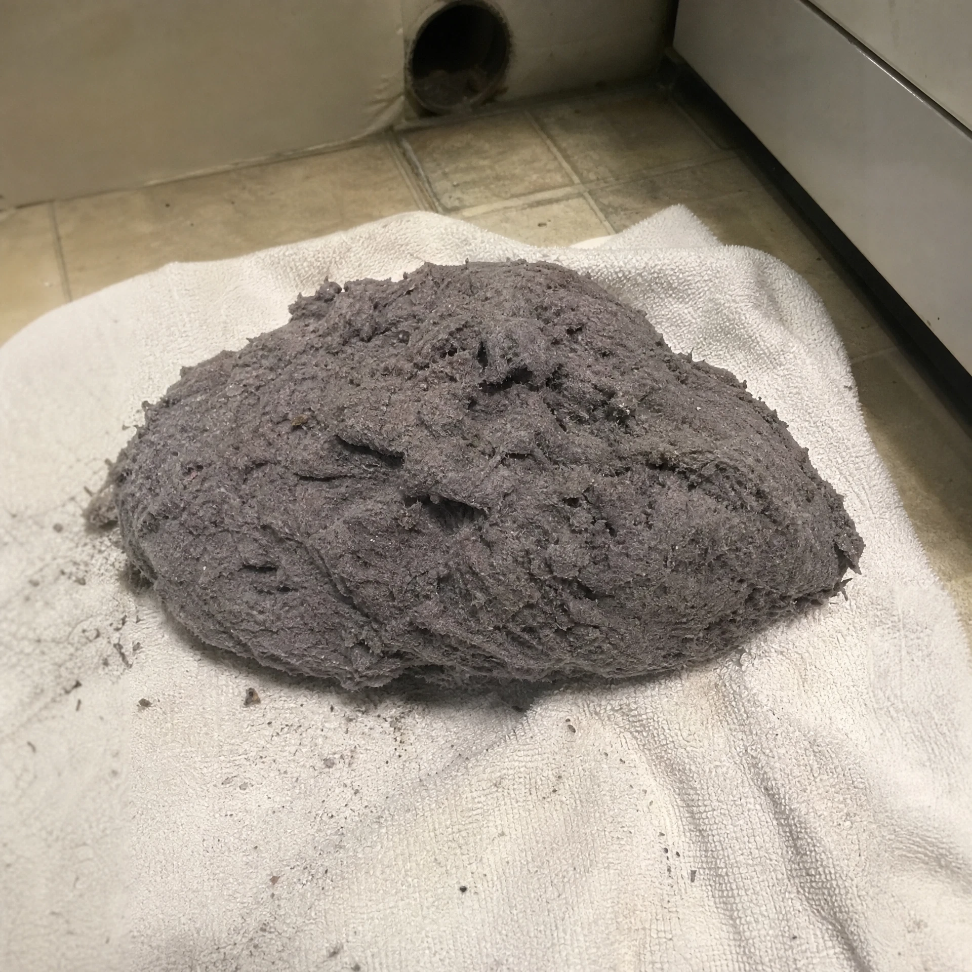 Lint removed from vent